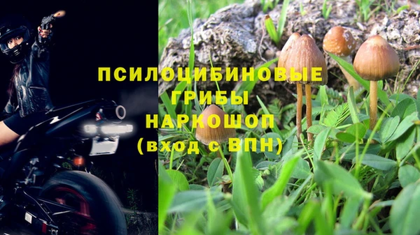 твердый Нязепетровск