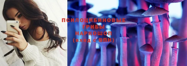Альфа ПВП Няндома